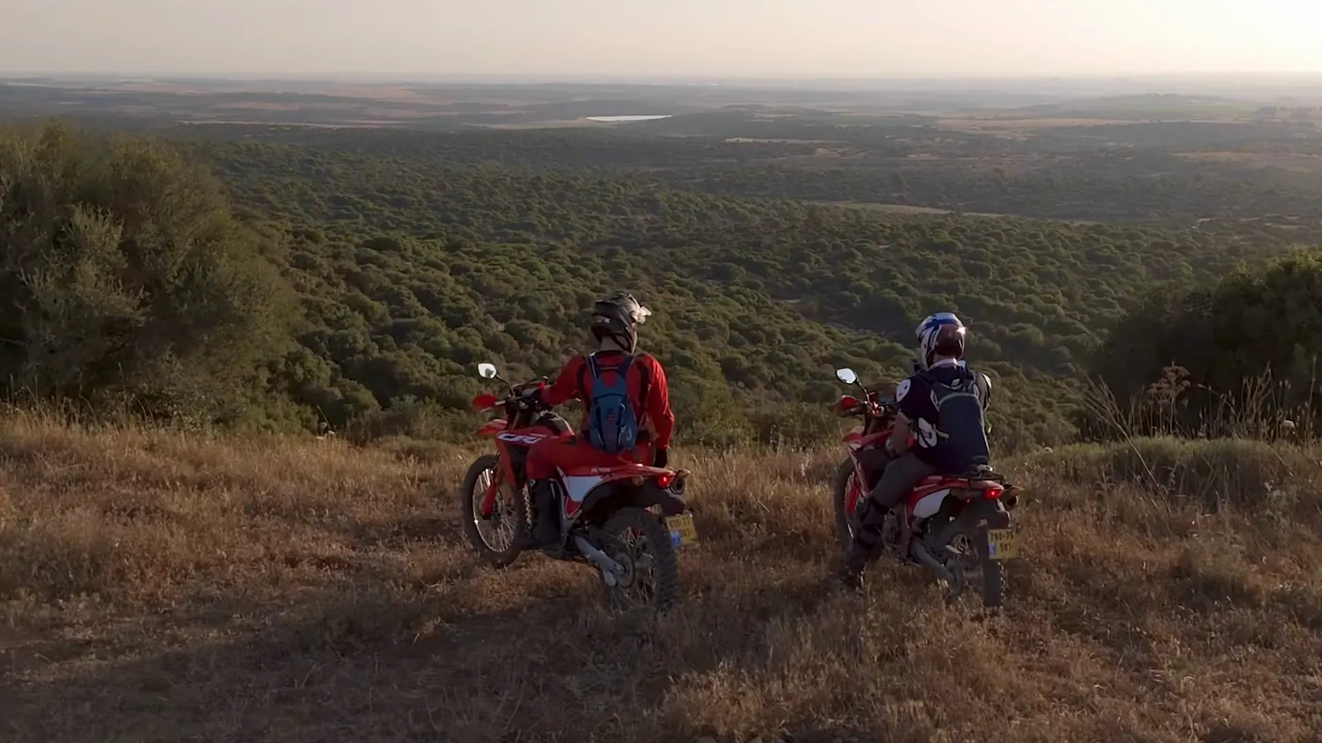 Adventure motorcyclists overlooking a forested valley at golden hour